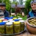 Beef Stuffed Grape Leaves: Picking Fresh Grape Leaves and Cooking Dolma